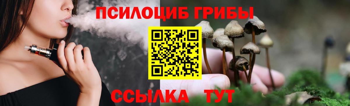 Чусовой  Галлюциногенные грибы Psilocybine cubensis  Вход с VPN  Псилоцибиновые грибы Magic Shrooms 